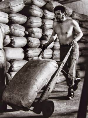 En el 53 aniversario de su asesinato, recordemos al Che Guevara, quien fue un Revolucionario Auténtico...!!!