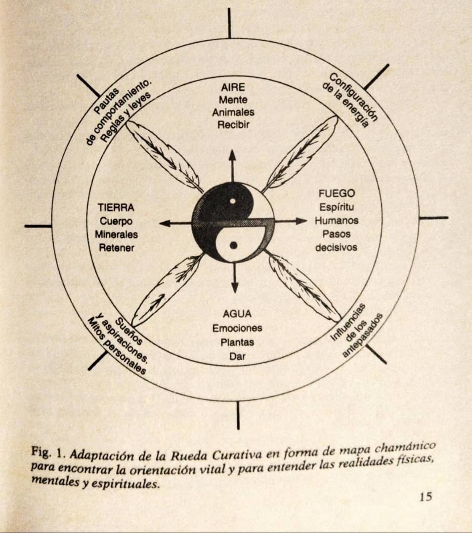 INTELIGENCIAS CHAMÁNICAS: RECONCILIACIÓN DE LA VIDA HUMANA CONSIGO MISMA Y LA COMUNIDAD COSMICA