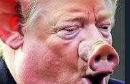Cuando The Orange Pig (Trump) se desmiente a sí mismo, más peligrosa es su amenaza...